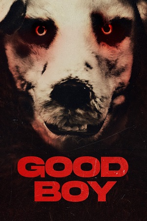 ✅ Download Good Boy (2022) Dual Audio (Hindi-Norwegian) Full Movie. This is a Hollywood movie and available in 1080p & 720p & 480p qualities. This is one of...